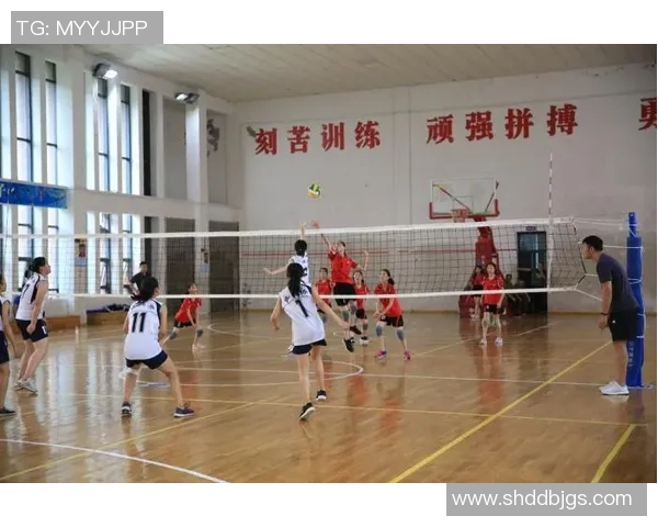 杭州排球队荣登排球状态排行榜第二名展现强劲实力与团队协作 杭州排球队荣登排球状态排行榜第二名展现强劲实力与团队协作