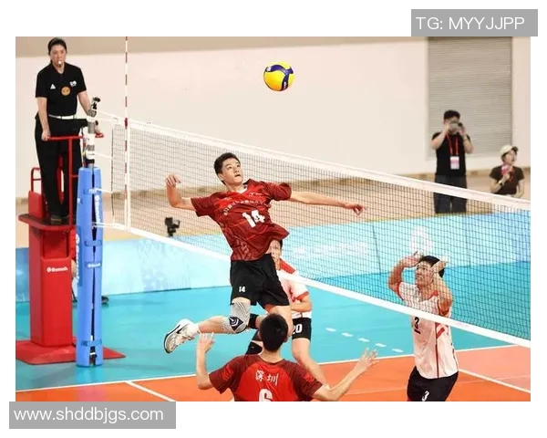 武汉排球队的比赛经验揭秘：从训练到赛场的全方位分析与分享