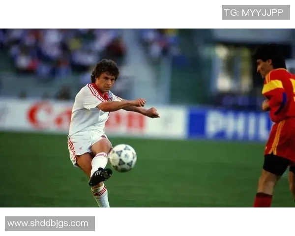 足球明星威玛尔的传奇旅程与辉煌成就全解析