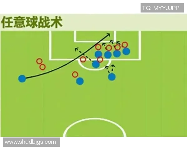 杭州排球队配合表现的数据分析与战术探讨 杭州排球队配合表现的数据分析与战术探讨