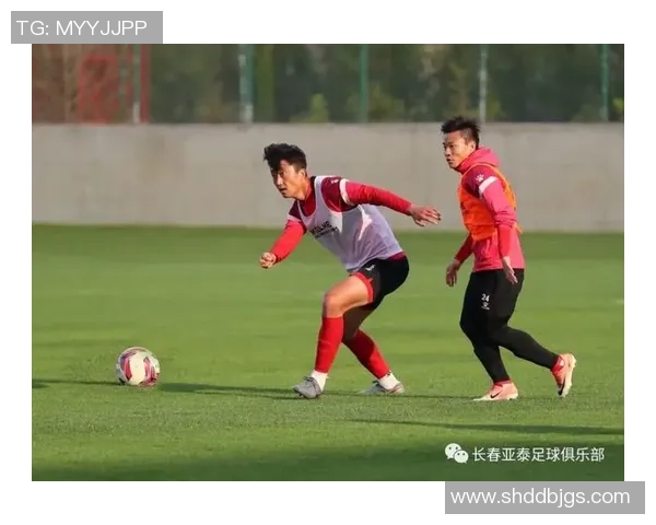 武汉网球队防反战术深度分析与实战应用探讨