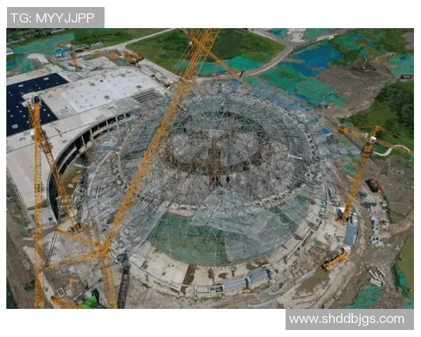 杭州乒乓球队实力分析与表现评估的综合数据研究报告