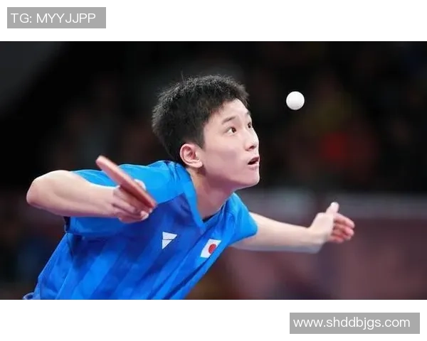 深入探讨上海乒乓球队技术表现的数据分析与发展趋势