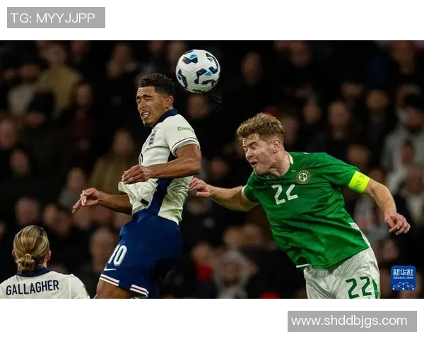 爱尔兰足球明星盘点及其在国际赛场上的辉煌成就与影响力