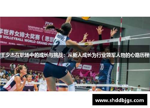 王少杰在职场中的成长与挑战：从新人成长为行业领军人物的心路历程