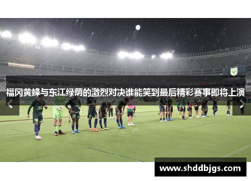 福冈黄蜂与东江绿荫的激烈对决谁能笑到最后精彩赛事即将上演